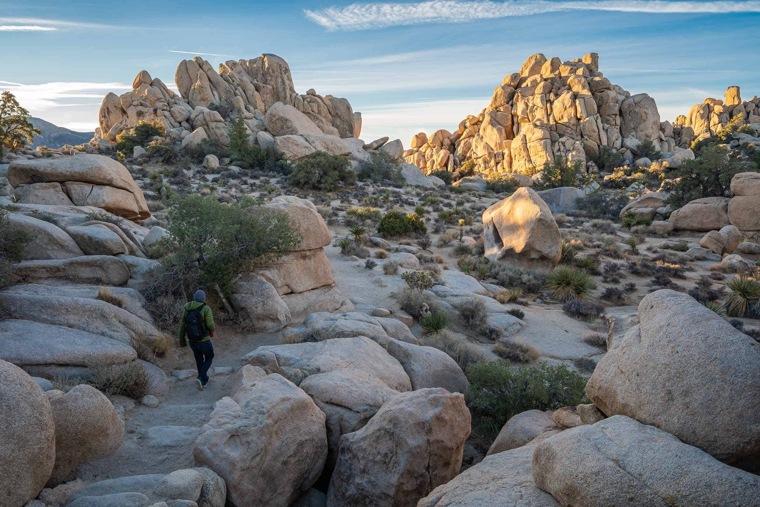 Top Joshua Tree Hiking Trails